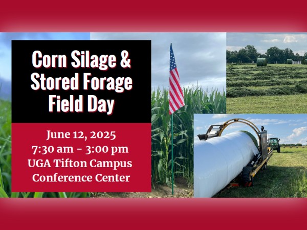 Corn Silage & Stored Forage Field Day - June 12, 2025 - UGA Tifton Campus Conference Center - 7:30 am - 3:00 p.m.